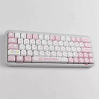 Kitten Fish MOA Profile PBT Keycap Set