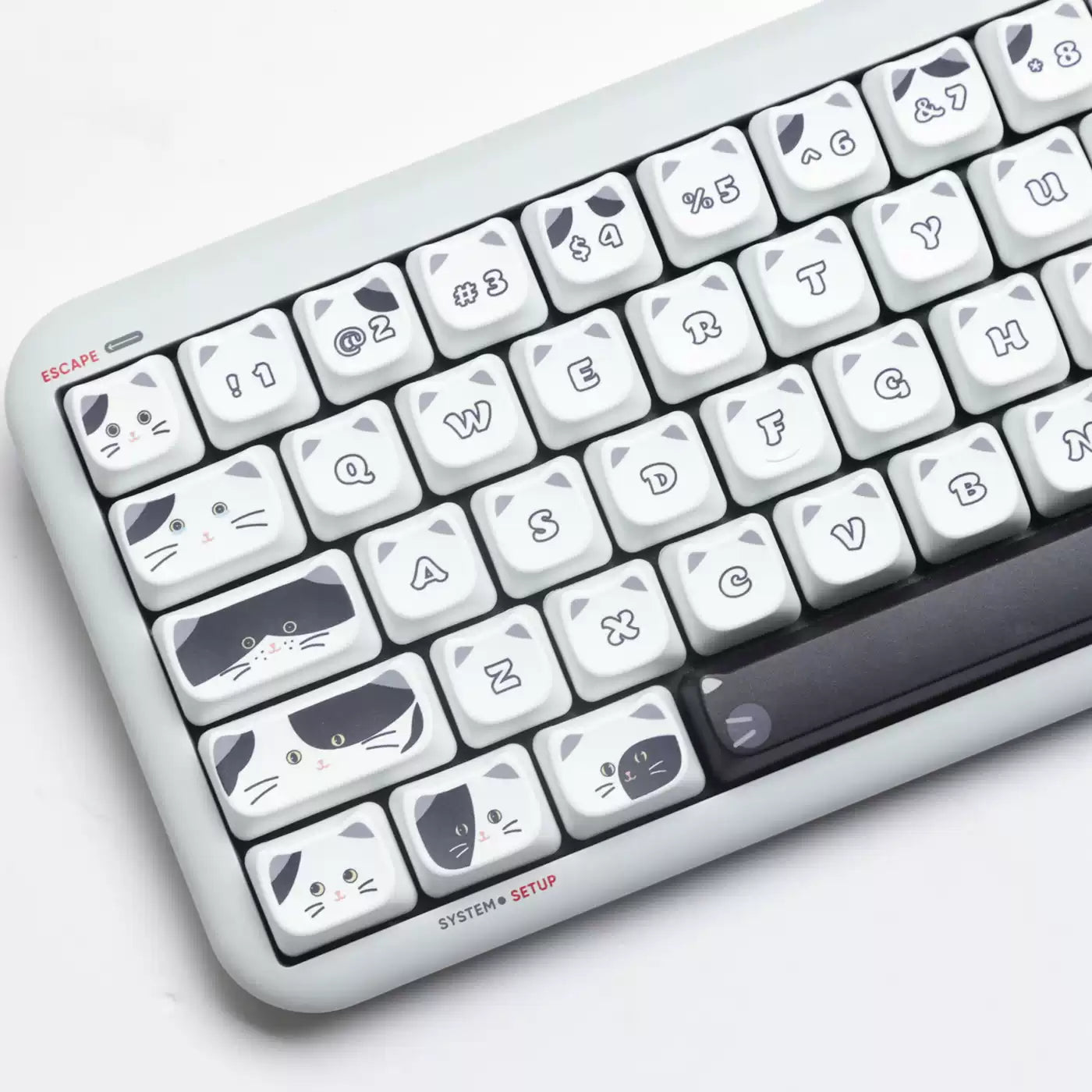 Black & White Cat MOA PBT Keycap Set